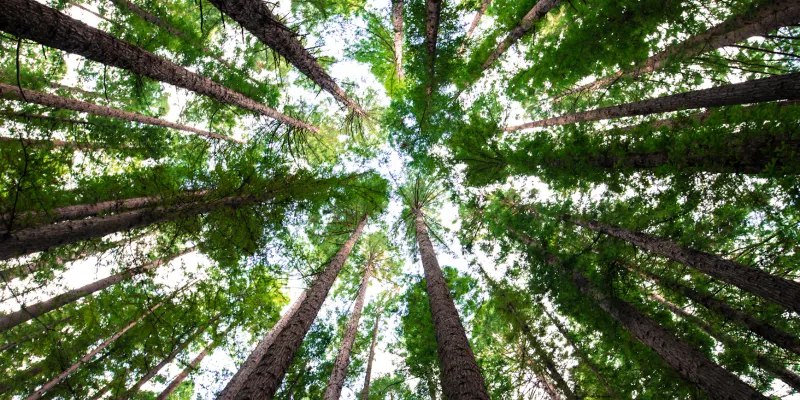 读记｜二〇二五・八：台北人、白先勇、教养 | 读有所记