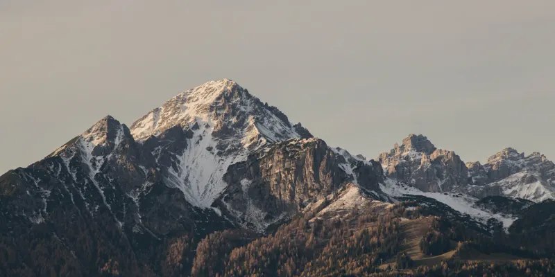 读记｜二〇二六・一：纳瓦尔、孟岩、刘震云等 | 读有所记