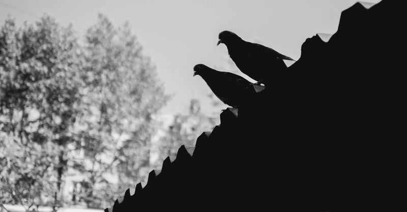 读记｜二〇二四・五：哈耶克、自由主义、群众运动等 | 读有所记