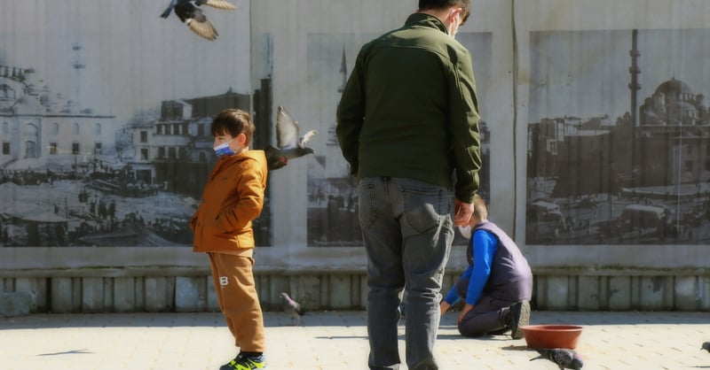 读记｜二〇二四・十一：莫言、丰田、历史等 | 读有所记