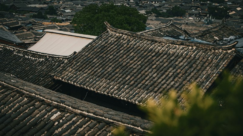 读记｜二〇二三・八：夏商周、虚构、近代史 | 读有所记