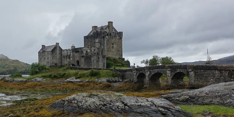 读记｜二〇二五・九：陀思妥耶夫斯基、白先勇 | 读有所记